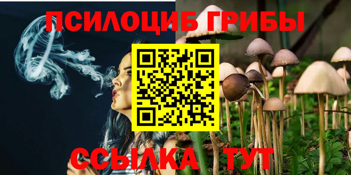 Галлюциногенные грибы Psilocybine cubensis  Псилоцибиновые грибы GOLDEN TEACHER  Краснодар  Вход с VPN 
